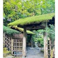 京都　寂光院

坂の途中のお庭の入口が
趣き深い