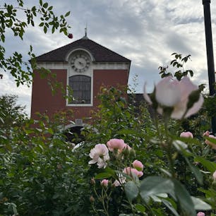 神戸布引ハーブ園　兵庫県

観光客も多いけど、
レジャーシートでくつろぐ地元の方らしき人もたくさんいました。
傾斜がきつい箇所が多々。