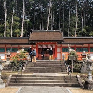 大原野神社
大原野神社は、京都市西京区大原野南春日町にある神社。二十二社の一社。旧社格は官幣中社で、現在は神社本庁の別表神社。 奈良の春日社から勧請を受けたもので、「京春日」の別称がある
春には千眼桜咲き、更に此処はモネの池に似た池が有ります♪
千眼桜は満開の期間が3日間ほどとたいへん短く、幻の桜と呼ばれています。
運よく満開を見ることができたら、千の願いが叶うともいわれています。

#サント船長の写真