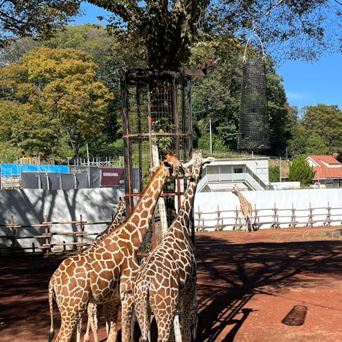 多摩動物公園