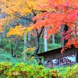 #大興善寺　#佐賀
秋には紅葉が美しい山寺。
杉木立、桧、銀杏も見事で
心穏やかになるお寺です。