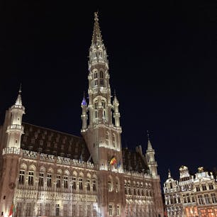 🇧🇪 ベルギー・ブリュッセル

グランプラスの夜景

ライティングされた、世界一豪華な広場！！

#puku2'23
#puku2"10
#puku2ベネルクスへの旅🇧🇪
#puku2ブリュッセル
#puku2グランプラス
#ベルギー#ブリュッセル#グランプラス#広場#夜景