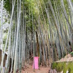 どこでもドア
車の点検で、久しぶりに県外へ🚗