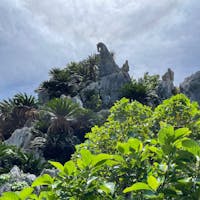 大石林山(沖縄県国頭郡国頭村)

沖縄本島最北端にある辺戸岬近くにそびえる岩山。亜熱帯の植物に覆われ、波に侵食され珍しい形状になった岩石があちこちに顔を覗かせています。高台へ登れば遠方に岬が眺望され、大地のエネルギーを感じられるパワースポットとしても人気。
登山コースは、①奇岩・巨石コース②美ら海展望台コース③バリアフリーコース♿︎④ガジュマル・森林コースの4つ！
券売所からコース出発地点の精気小屋までは無料シャトルバスが出ています。帰りはコース④を歩いて発売所まで戻れます👟

オススメ！👀
・山羊そば🍜🐐
　精気小屋にある食事処で食べられます。
　沖縄そばの上にヤギ肉を盛ったラーメン。塩ベースのあっさり系ですが、香菜たっぷりで疲れがとれます。
・石の文化博物館
　券売所と同じ建物内に。博物館周辺の石の成分や歴史だけでなく、沖縄本島の地形も詳しく解説👨‍🏫。特に沖縄の石はサンゴでできたものが大半なので、大地と海の繋がりを深く学ぶことができます🌊

メモ📝
・カルスト地形
石灰岩などの水に溶解しやすい岩石で構成された大地が、雨水、地表水、土壌水、地下水などによって侵食されてできた地形。石灰岩は生物起源のものと化学的沈殿と2通りのでき方がある。沖縄の石灰岩はサンゴ由来なので前者。
・石林🪨
中国🇨🇳雲南省にあるカルスト地形で、「中国南方カルスト」としてユネスコ自然遺産に登録されている。大石林山と比べると規模は圧倒的に中国のものの方が大きいですが、大石林山は世界のカルスト地形の中で最北端です。

2023年6月に来訪
Slytherin🐍