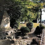 源義経元服の池と宿泊の地

承安４年（1174）3月3日、源氏の御曹司（おんぞうし）、牛若丸は京の鞍馬で遮那王（しゃなおう）と称してひそかに源氏の再興を志していました。
　鞍馬をこっそり抜け出した牛若丸は兄頼朝を尋ねんと、奥州の金売り吉次と下総の深栖（ふかす）の三郎光重が子、陵助頼重（みささぎのすけよりしげ）を同伴して東下りの途中近江の「鏡の宿」（現在の滋賀県竜王町鏡）に入り、時の長者「沢弥傳（さわやでん）」の屋敷に泊まります。
　その夜、稚児姿で見つかりやすいのを避けるために元服することを決意します。
　そこで地元「鏡」の烏帽子屋五郎大夫（ごろうたゆう）に源氏の左折れの烏帽子（えぼし）を作らせ、鏡池の石清水を用いて前髪を落とし元結（もとゆい）の侍姿を池の水に映し元服をしたと伝えられています。
鏡神社より西側へ130mのところに池があり、そばに石碑が建っています。
これが義経の「元服池」とよばれている池で、義経はこの池の水を元服の時に使ったといわれています。

#サント船長の写真　#滋賀県