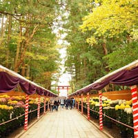11月1日（水）〜11月24日（金）の期間、彌彦神社で、全国随一の規模と言われる「弥彦菊まつり」が開催されます。

この季節彌彦神社は、境内、弥彦山の紅葉も楽しめます。

境内にある重軽の石は、心の中で願い事をしながら石を持ち、軽いと感じたら叶い、重いと感じたら叶わないと言われています。


#彌彦神社 #菊まつり #新潟県