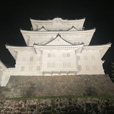 ライトアップされた夜の小田原城