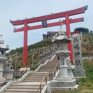 蕪島神社
人間よりウミネコの数が多い！
ここは一度ぜひ訪れてほしい
#202307 #s青森