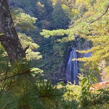 檜枝岐村のモーカケの滝。

国道352号沿いに無料駐車場があり、駐車場から徒歩1、2分ほどで展望台に着きます。

展望台から見る滝はかなり遠いので、ブナ平の紅葉をメインに楽しみつつ立ち寄るという感じが良いかと思います。

七入駐車場の方から沢登りすると滝の裏側まで見られるとか…そこまでのガッツはありませんでした。
