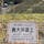 大井川鐵道
奥大井湖上駅
下車して展望台へ
階段きついけど行かないと損するほどの景気でした。アプト式、日本ではここだけ