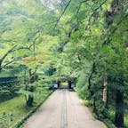 愛知　香積寺

紅葉のこの参道が見てみたいな。
また今度の楽しみに。