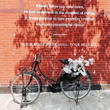 🇺🇸U.S.A.／NYC／Williamsburg (Bedford avenue station)

今注目のエリアだそうで、こんな洒落た壁と自転車がサラッとある…💐
このあたりのホテルに泊まったのですが、大当たりでした。
オシャカフェ、オシャ壁、なんでもあります。歩いている人もオシャレ。とにかく全部がオシャレ。

「代官山や表参道はこうなりたいんだろうなあ」と思うほどの完璧な街でした。
古着屋さん巡りも楽しかったです！

#ニューヨーク #インスタ映え #オシャ壁 #フォトスポット #街歩き