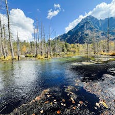 上高地の岳沢湿原。中心の河童橋から徒歩で約30分。碧い水面に紅葉がとても映えます。次回は初夏に再訪して見比べてみたいですね。