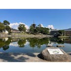 猿沢池

興福寺の五重塔が池に反射して綺麗💕
五重塔は下の方が改修工事中ですが、ここからなら綺麗に見える😍

秋晴れで澄んだ空☀️
奈良で撮ったお気に入りの1枚📸
これにて奈良投稿終了🦌

少しばかり大阪投稿します🤔

#奈良