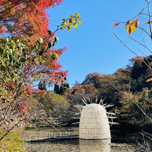 兵庫
ROKKO森の音ミュージアム

六甲ミーツ・アート芸術散歩2023
の会場になってたので
アート作品と紅葉を
楽しめました。
