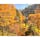 群馬県の丸沼高原へ✨

日光白根山ロープウェイ山麓駅から約15分で標高2,000mの世界へ🎶

紅葉がとても綺麗で、山頂駅到着後にも周辺に「天空カフェ」や「天空の足湯」などがあり、とっても楽しかったです🥰