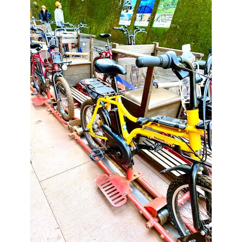 レールマウンテンバイク ガッタンゴー