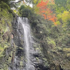 天照山　白雲の滝

紅葉はまだでしたが、滝を目の前で見れるいい場所でした😊