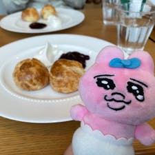 アフタヌーンティー・ティールーム阪神梅田本店
スコーン美味しい😋