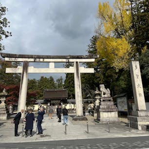 多賀大社

あいにくの曇り空でしたが、
七五三参りの時だったのか、
おめかしした子供達に癒されました。
綺麗な子供神輿も見れて良かった。
2023.11.12