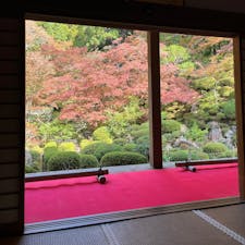 金剛輪寺

湖東三山。
紅葉は色づき始めですが、
緑と紅の組み合わせが綺麗でした。
2023.11.12
