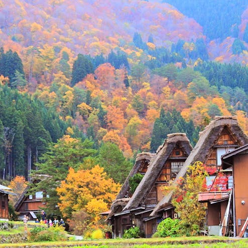 白川郷合掌造り集落