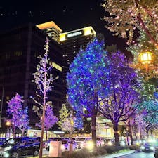 大阪・御堂筋のイルミネーション、2023年は様々な光の芸術を楽しめますよ♪

#大阪 #御堂筋 #淀屋橋 #本町 #イルミネーション #旅田サトシ