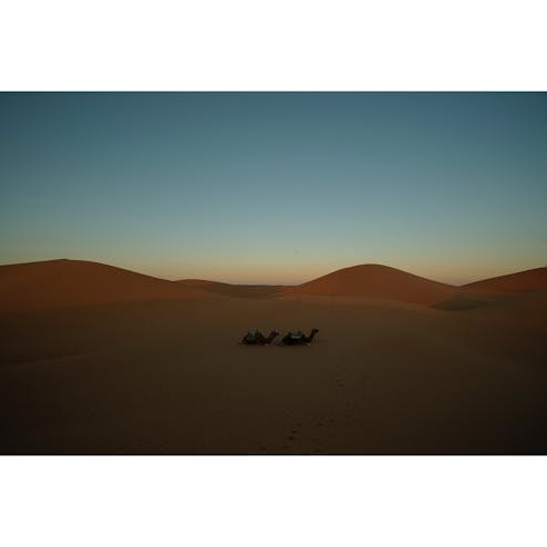 メルズーガ大砂丘