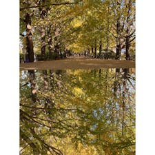 東京都/国営昭和記念公園

1年前の写真です。

銀杏並木の道に鏡を置いたり、ハートの付いたベンチがあったり、映え写真が撮れるスポットが用意されていました😊

自然とアートとのコラボ展示もあり、とても楽しめました♪

今年もそろそろ見頃を迎えそうですね🍁

#puku2'22
#puku2"11
#puku2伊東から関東地方を巡る旅'22.11
#puku2東京
#東京#公園#紅葉