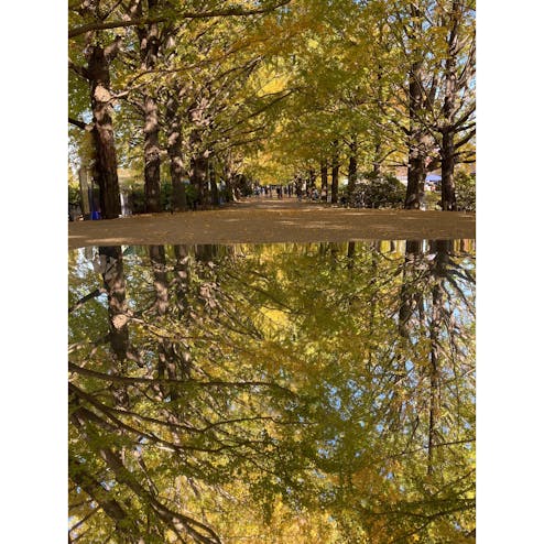 国営昭和記念公園