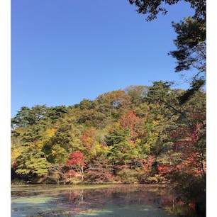 兵庫
神戸市立森林植物園

池のまわり
ぐるっと散策