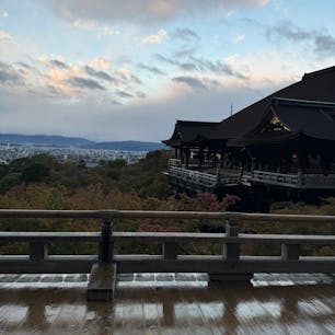 早朝6:30の清水寺。平日かつ雨模様のためか、ほぼ貸切状態でゆっくりと観光できました。