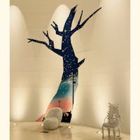 花巻市にある宮沢賢治童話村。

賢治の学校のファンタジックホールと宇宙の部屋が特に素敵空間でした。
賢治の教室はログハウス展示施設で、棟ごとに異なるテーマの空間になっています。

お天気がぐずついていたので森の散策はできませんでしたが、暖かい時期に再度訪れたくなる素敵な場所でした。