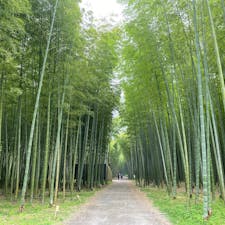 ❇︎若竹の杜 若山農場
❇︎宇都宮
❇︎栃木