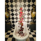 兵庫　異人館
洋館長屋

浴槽に赤い花が飾られた部屋