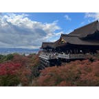 清水寺

着物で紅葉している清水寺へ🍁
初めて紅葉シーズンに京都へ訪れましたが観光客の多いこと😅
寒くもなく素敵な写真が撮れました📷

#京都