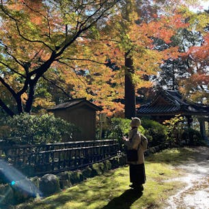 20231118
佐賀県　大興善寺(つつじ寺)

雨上がりで寒かったけど
陽がさしてきて綺麗でした

大興善寺うどん
季節限定特別御朱印