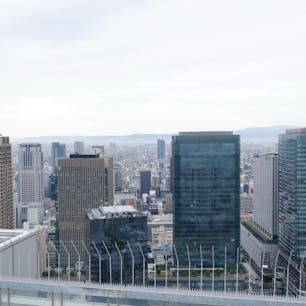 大阪・梅田にある「梅田スカイビル」。空中庭園展望台では、大阪市内の眺望を楽しめるほか、ハートロックやエスカレーター、ギャラリーなどがあり、空中散策を楽しめますよ♪

#大阪 #梅田 #梅田スカイビル #空中庭園展望台 #ハートロック #旅田サトシ