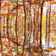 山形県朝日町にある空気神社は、空気を象徴としている世界に一つの神社。

紅葉が素晴らしかった。


#山形県　#朝日町　#空気神社