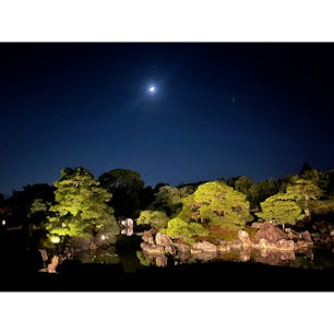 二条城
NAKED FLOWERS 2023秋🍁
二条城のライトアップイベントへ行ってきました😊
特別寒くもなく、のんびりとした時間が過ごせました🦥*̣̩⋆

#京都