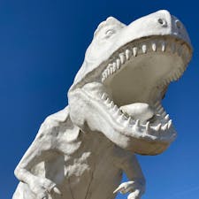 福井　ホワイトザウルス

思ってた以上に大きかった
タマゴもあった