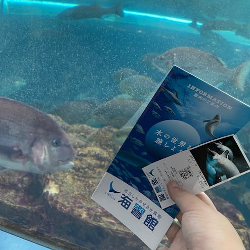 下関市立しものせき水族館 海響館