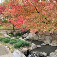 大泉緑地

かきつばた園
園内でも紅葉が見れる風情がある場所。