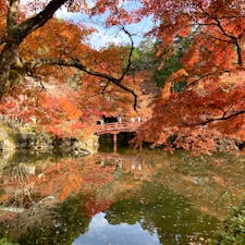 京都市　醍醐寺

紅葉が見頃となっていました。境内奥の方の弁天堂付近が人気スポットのようですが、仁王門付近や三宝院なども、とても美しかったです。

地下鉄東西線を利用しましたが、混雑もなく、最寄りの醍醐駅からも意外と近かったです。