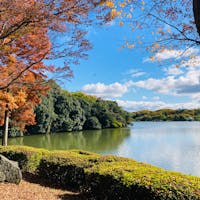 大阪　枚方市
山田池公園

紅葉と池が素敵でした。