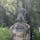 名古屋城の加藤清正像

加藤清正の石引きの像


#サント船長の写真　#銅像
