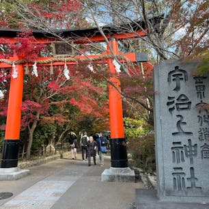 宇治上神社

こちらは世界文化遺産。
神社が最古の建築物。
2023.11.26