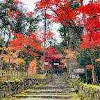 滋賀　西明寺
湖東三山の一つ

苔の石段と紅葉