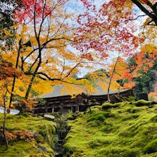 滋賀　西明寺
湖東三山の一つ

紅葉の奥に
本堂、三重塔、二天門