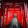 埼玉県さいたま市の大宮に鎮座する、武蔵一宮氷川神社は、七五三のご家族で賑わっていました。

#氷川神社
#武蔵一宮氷川神社
#大宮
#神社